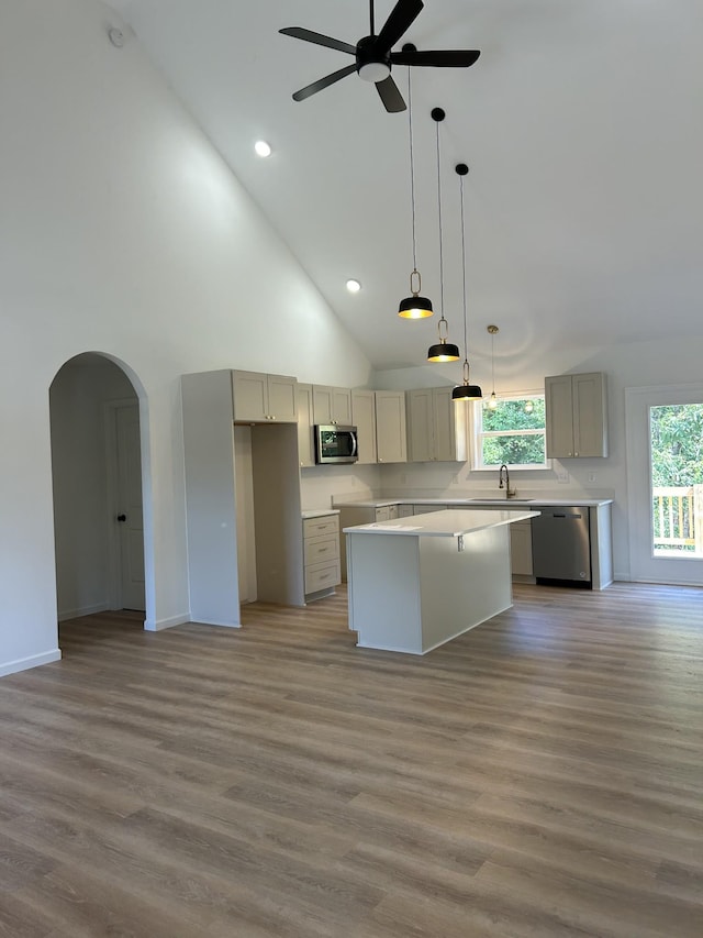 9710 Campbellsville Rd, Pulaski, TN 38478 - kitchen with stainless steel appliances, a ceiling fan, a center island, arched walkways, and wood finished floors