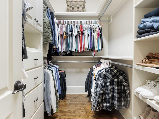 5007 Buds Farm Ln, Franklin, TN 37064 - spacious closet featuring wood finished floors