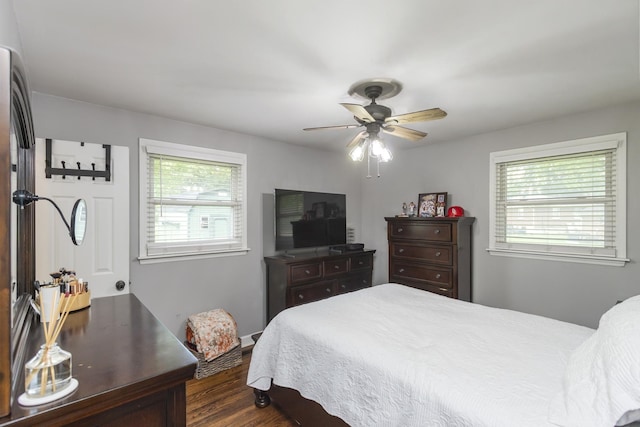 102 Ryburn Dr, Old Hickory, TN 37138 - bedroom featuring multiple windows, dark wood-style floors, and ceiling fan