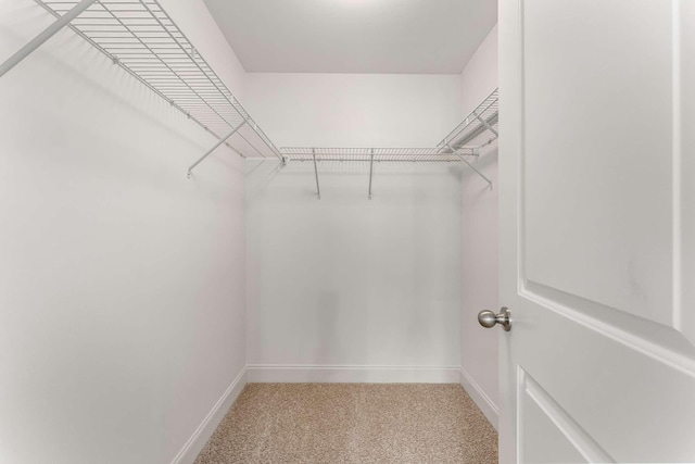 23 Hope Ct, Mount Juliet, TN 37122 - walk in closet featuring carpet flooring