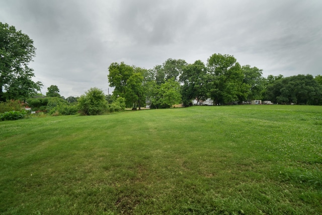 110 Spring Creek Rd, Estill Springs, TN 37330 - view of green lawn