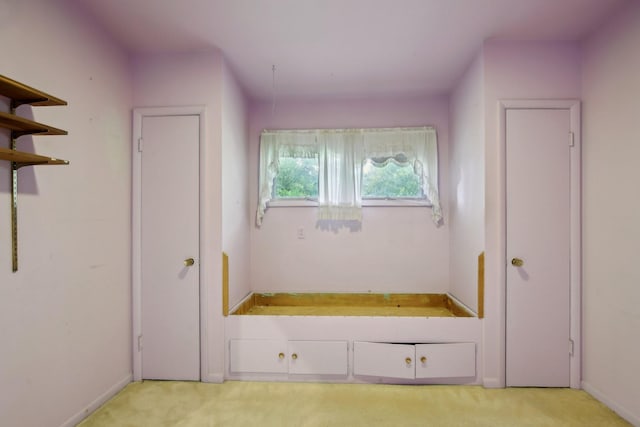 929 Deervale Dr, Nashville, TN 37217 - mudroom featuring light carpet and baseboards