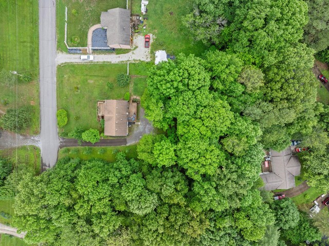 7214 Timberlane Dr, Fairview, TN 37062 - aerial view of property's location