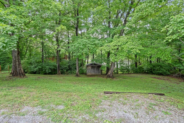 7214 Timberlane Dr, Fairview, TN 37062 - view of grassy yard