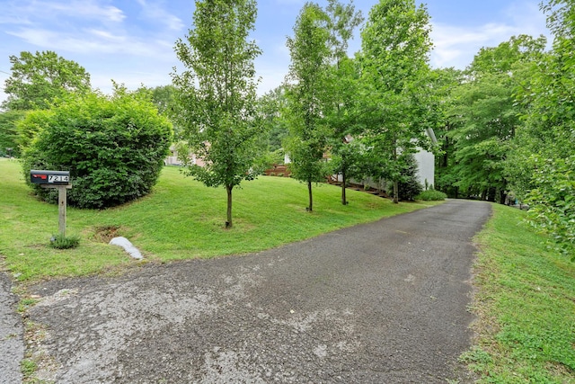 7214 Timberlane Dr, Fairview, TN 37062 - view of road