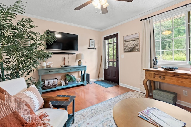 7214 Timberlane Dr, Fairview, TN 37062 - living area featuring wood finished floors, ceiling fan, a textured ceiling, baseboards, and crown molding