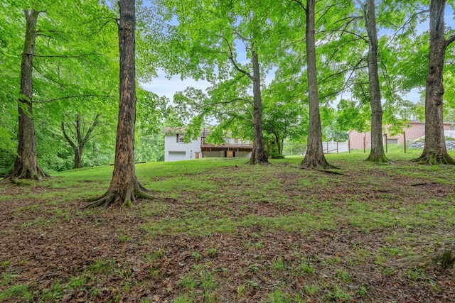 7214 Timberlane Dr, Fairview, TN 37062 - view of yard featuring a garage