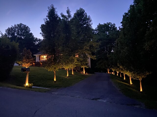 7214 Timberlane Dr, Fairview, TN 37062 - view of asphalt driveway