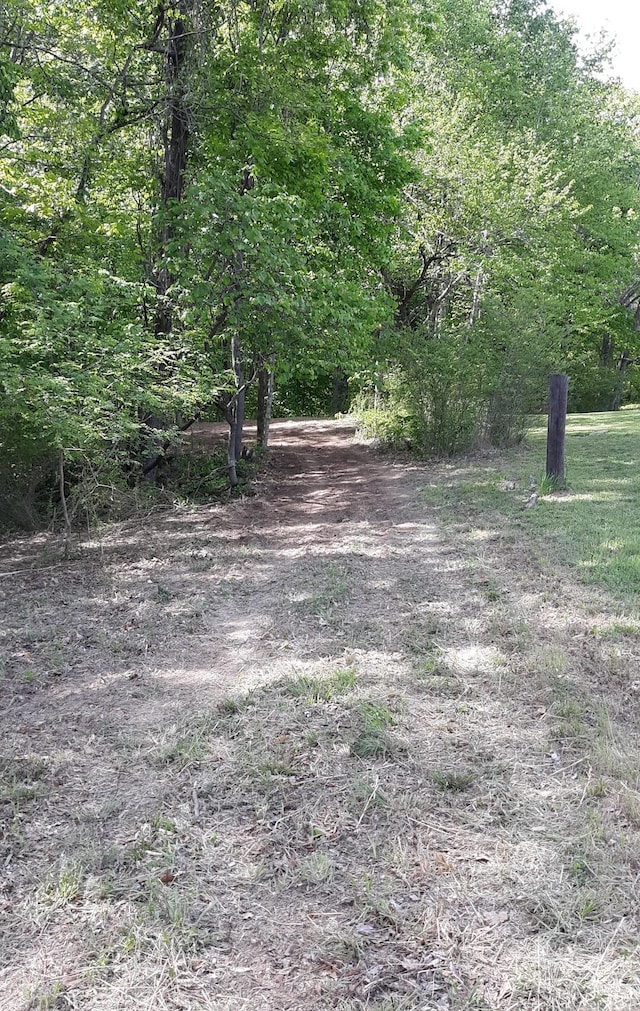 2812 Union Hill Rd, Joelton, TN 37080 - photo 9