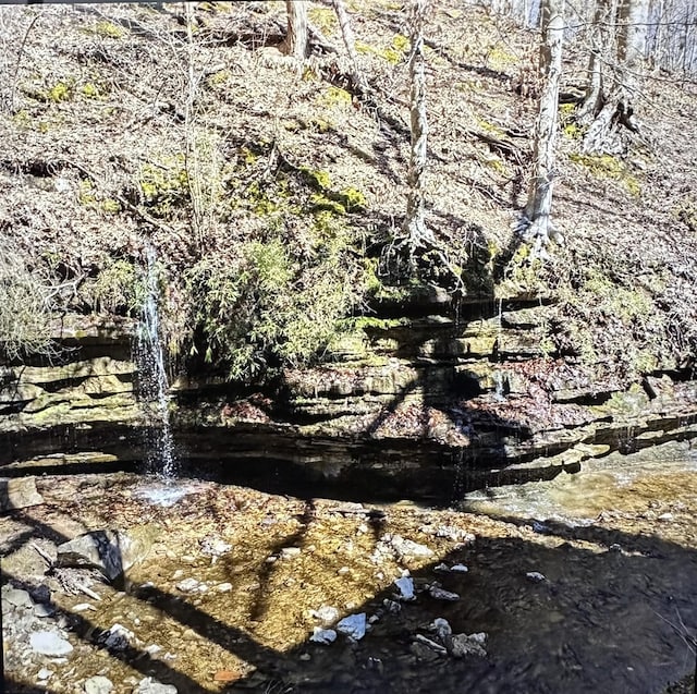 2024 Powdermill Hill Rd, Lawrenceburg, TN 38464 - photo 3