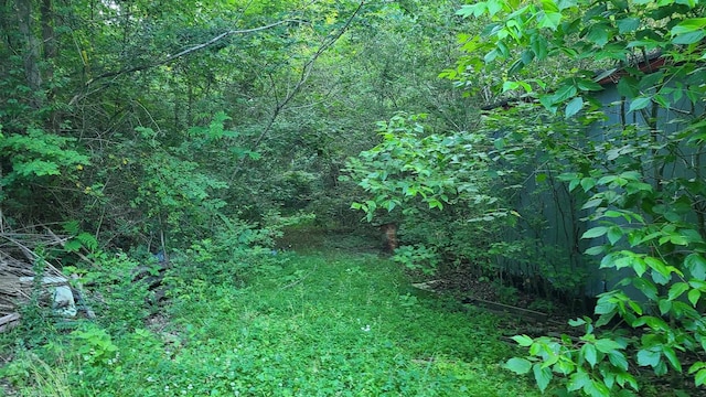 2024 Powdermill Hill Rd, Lawrenceburg, TN 38464 - photo 10