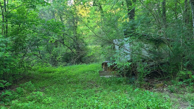 2024 Powdermill Hill Rd, Lawrenceburg, TN 38464 - photo 15