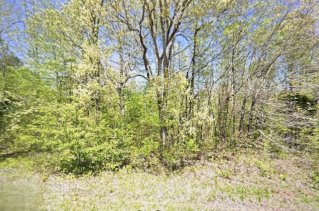 2024 Powdermill Hill Rd, Lawrenceburg, TN 38464 - photo 1