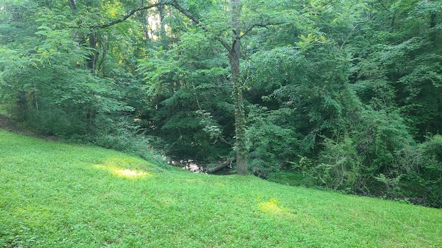 2024 Powdermill Hill Rd, Lawrenceburg, TN 38464 - photo 6