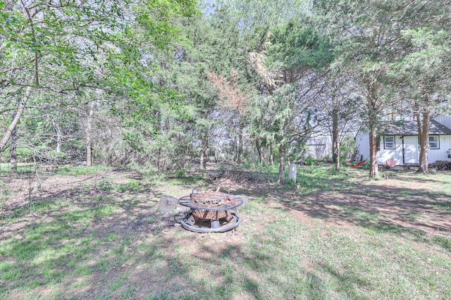 831 W Sagefield Dr, Smyrna, TN 37167 - view of yard featuring a fire pit
