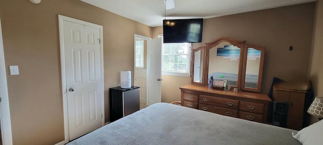 208 Royal Oak Dr, Dickson, TN 37055 - view of bedroom