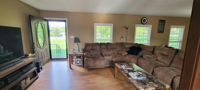 208 Royal Oak Dr, Dickson, TN 37055 - living area featuring light wood-style floors and plenty of natural light