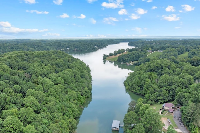 44 Hasty Hill Rd, Lynchburg, TN 37352 - drone / aerial view of a nearby body of water and a forest