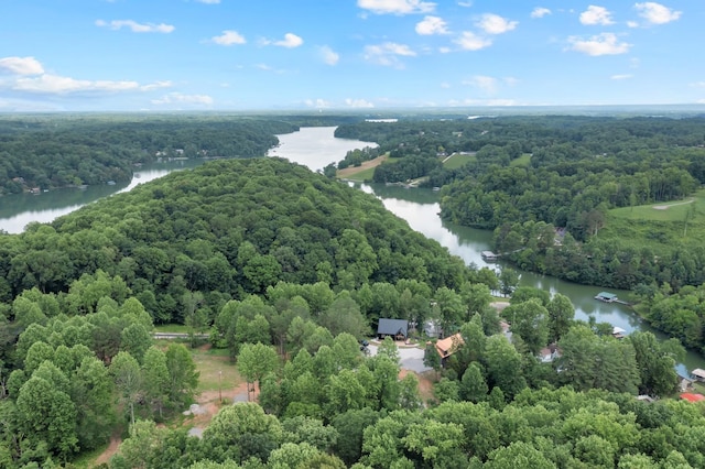 44 Hasty Hill Rd, Lynchburg, TN 37352 - bird's eye view of a large body of water and a heavily wooded area