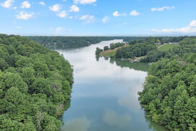 44 Hasty Hill Rd, Lynchburg, TN 37352 - bird's eye view of a nearby body of water and a forest