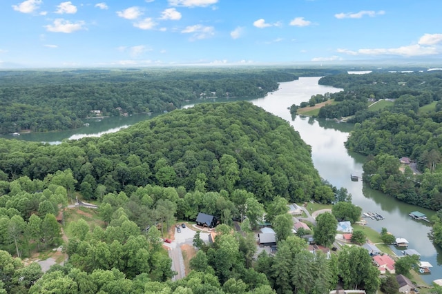 44 Hasty Hill Rd, Lynchburg, TN 37352 - aerial view of a nearby body of water and a heavily wooded area
