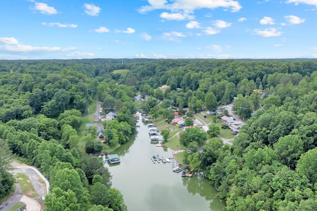 44 Hasty Hill Rd, Lynchburg, TN 37352 - aerial view of a large body of water and a heavily wooded area