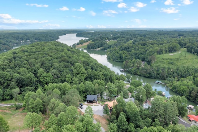 44 Hasty Hill Rd, Lynchburg, TN 37352 - aerial view of a nearby body of water and a heavily wooded area