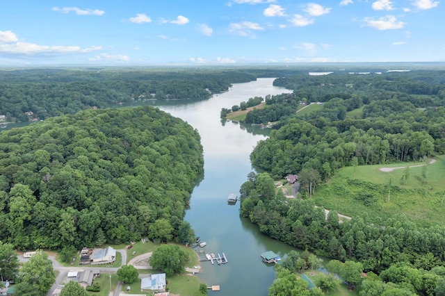 44 Hasty Hill Rd, Lynchburg, TN 37352 - bird's eye view of a large body of water and a heavily wooded area