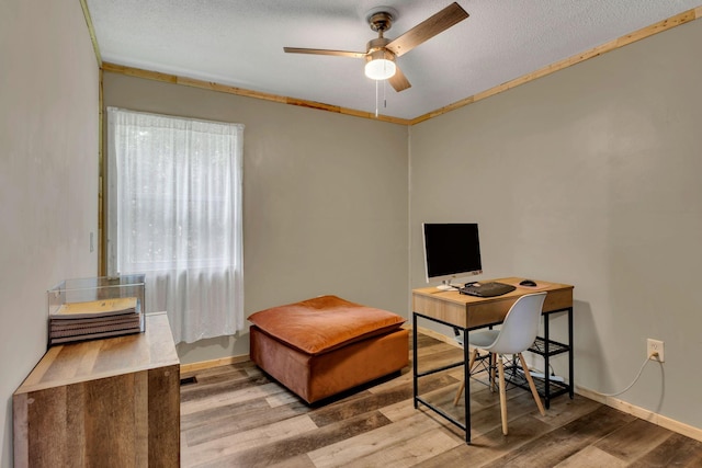 9780 S Lick Creek Rd SW, Lyles, TN 37098 - home office with ceiling fan, wood finished floors, baseboards, and a textured ceiling