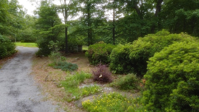 943 Old Ccc Rd, Sewanee, TN 37375 - view of nature