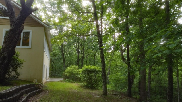 943 Old Ccc Rd, Sewanee, TN 37375 - view of yard