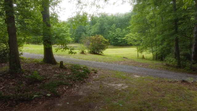 943 Old Ccc Rd, Sewanee, TN 37375 - view of street featuring a forest view