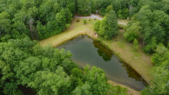 943 Old Ccc Rd, Sewanee, TN 37375 - aerial view of property's location with a large body of water