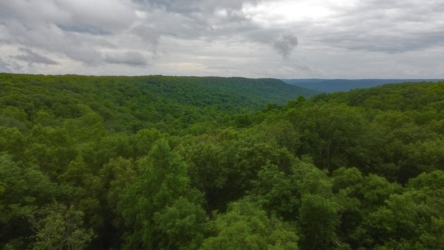 943 Old Ccc Rd, Sewanee, TN 37375 - view of mountain background featuring a heavily wooded area