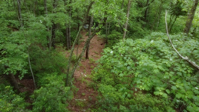 943 Old Ccc Rd, Sewanee, TN 37375 - view of woods