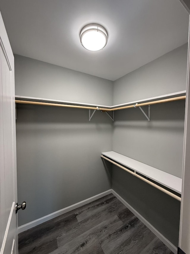 507 Locust St, Mcminnville, TN 37110 - walk in closet with dark wood-style floors