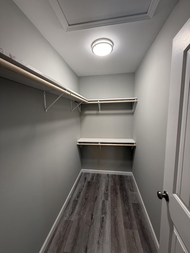 507 Locust St, Mcminnville, TN 37110 - walk in closet with wood finished floors
