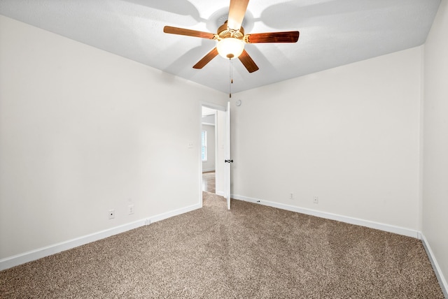3653 Fox Tail Dr, Clarksville, TN 37040 - photo 21
