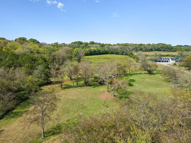 4309 Cato Rd, Nashville, TN 37218 - photo 11