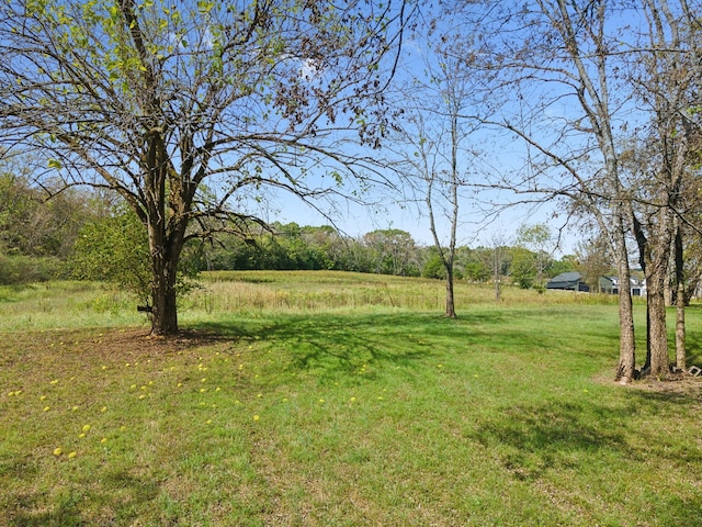 4309 Cato Rd, Nashville, TN 37218 - photo 25