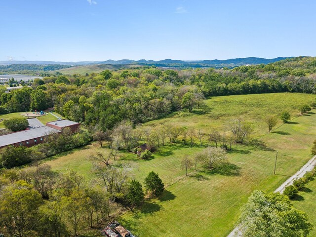 4309 Cato Rd, Nashville, TN 37218 - photo 16