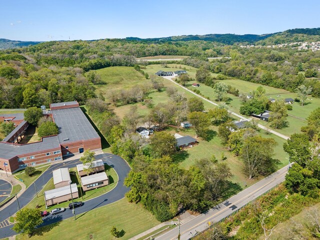 4309 Cato Rd, Nashville, TN 37218 - photo 20