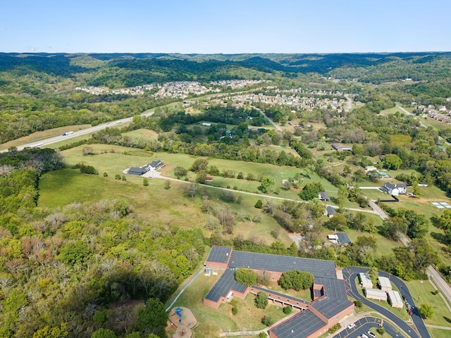 4309 Cato Rd, Nashville, TN 37218 - photo 29