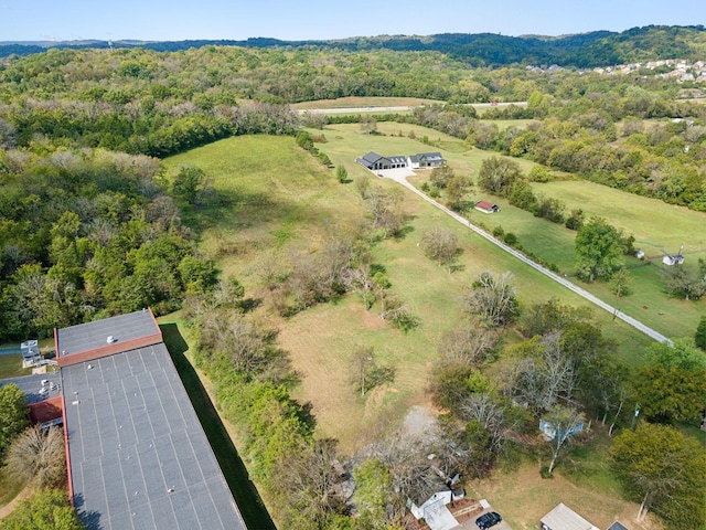 4309 Cato Rd, Nashville, TN 37218 - photo 4
