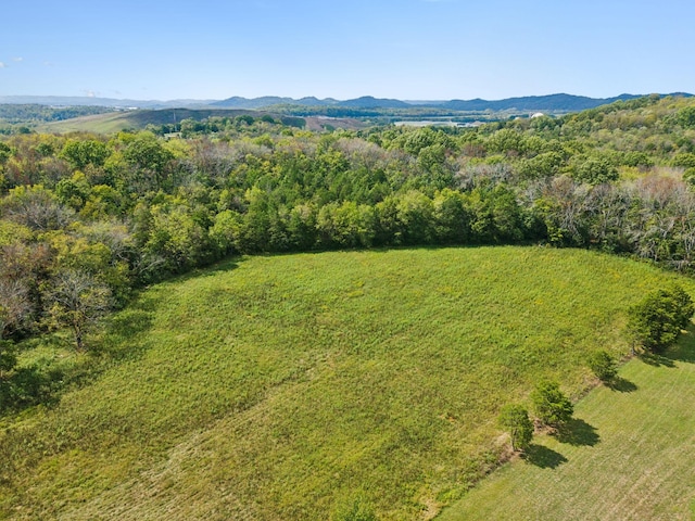 4309 Cato Rd, Nashville, TN 37218 - photo 7