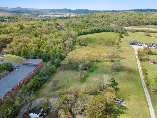 4309 Cato Rd, Nashville, TN 37218 - photo 3