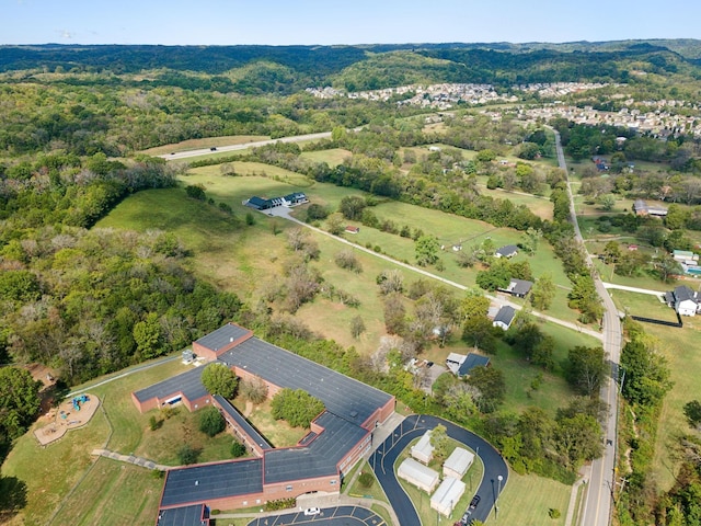 4309 Cato Rd, Nashville, TN 37218 - photo 28