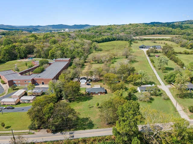 4309 Cato Rd, Nashville, TN 37218 - photo 19