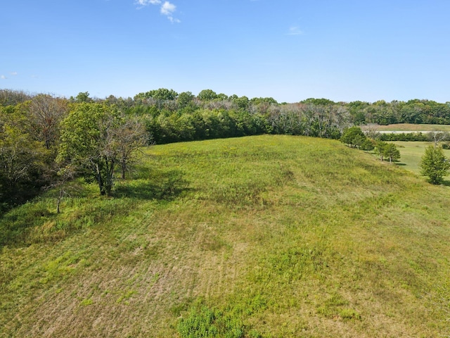 4309 Cato Rd, Nashville, TN 37218 - photo 6
