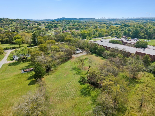 4309 Cato Rd, Nashville, TN 37218 - photo 13